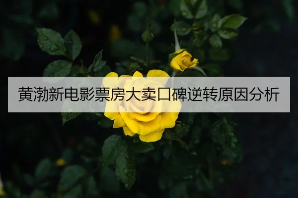 huang-bo-xin-dian-ying-piao-fang-da-mai-kou-bei-ni-zhuan-yuan-yin-fen-xi-2-997.jpg